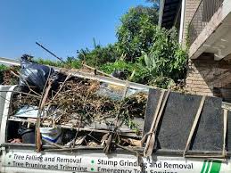 Best Construction Debris Removal  in Frankfort, IL